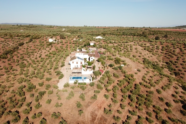 Hotel Olivetum Colina Casa Rural/ Guesthouse